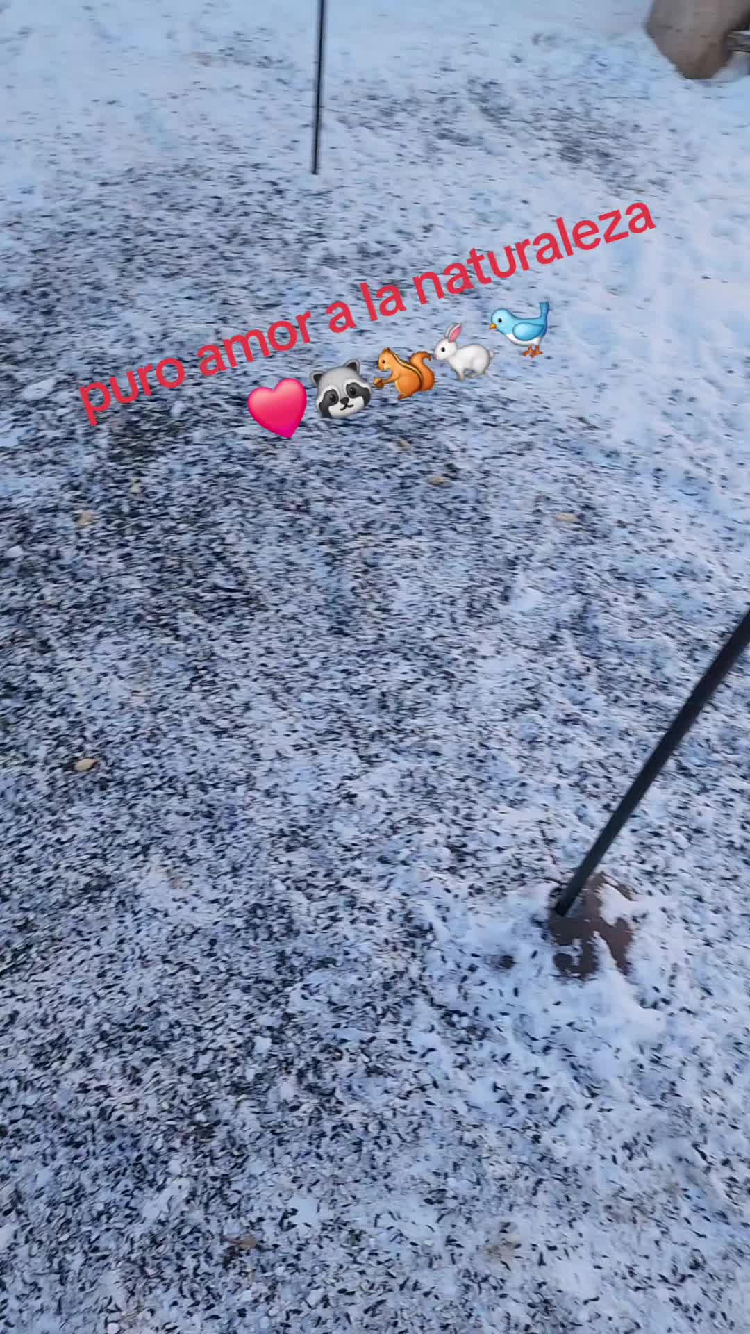 @eduardito1719😘🇺🇸🇪🇨