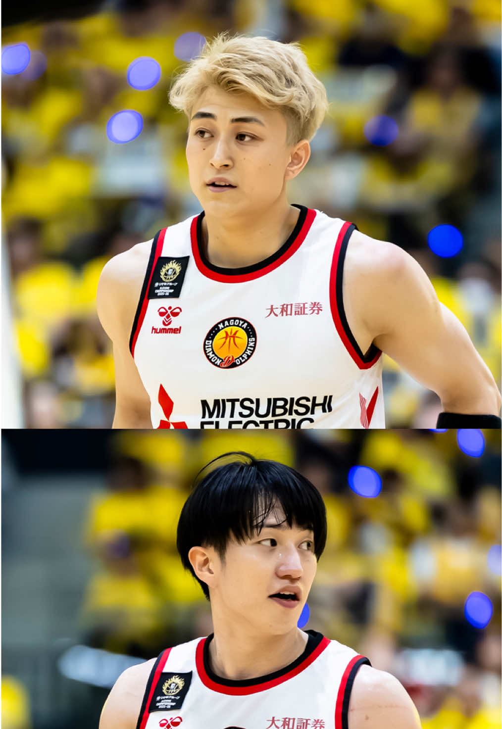 @Bリーグ