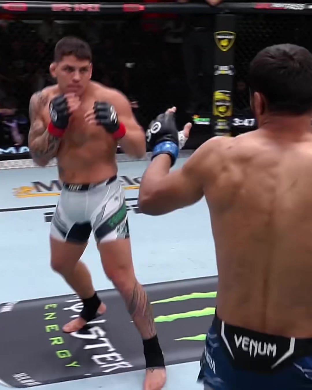 @UFC UZBEKISTAN