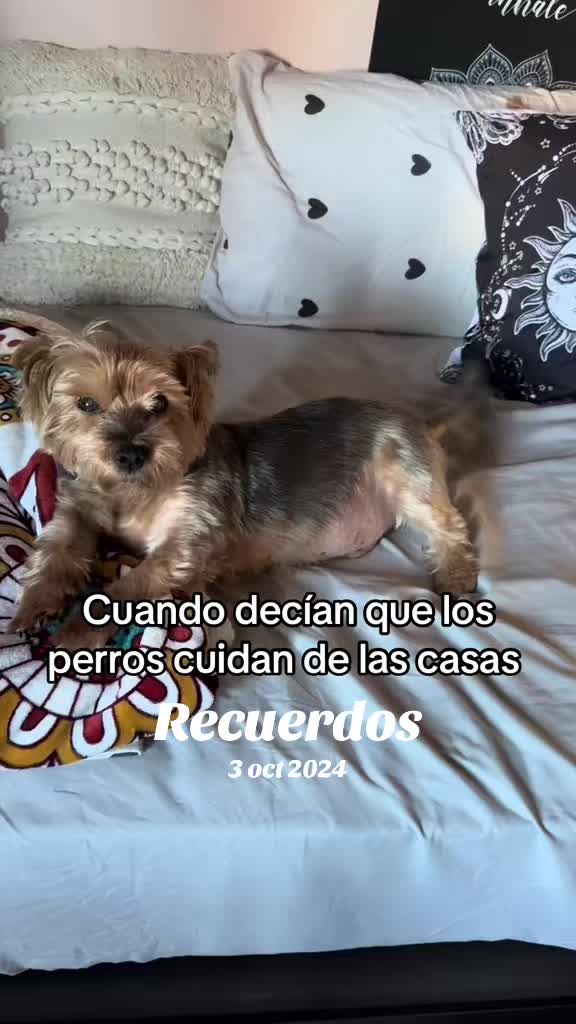 @✨María ✨