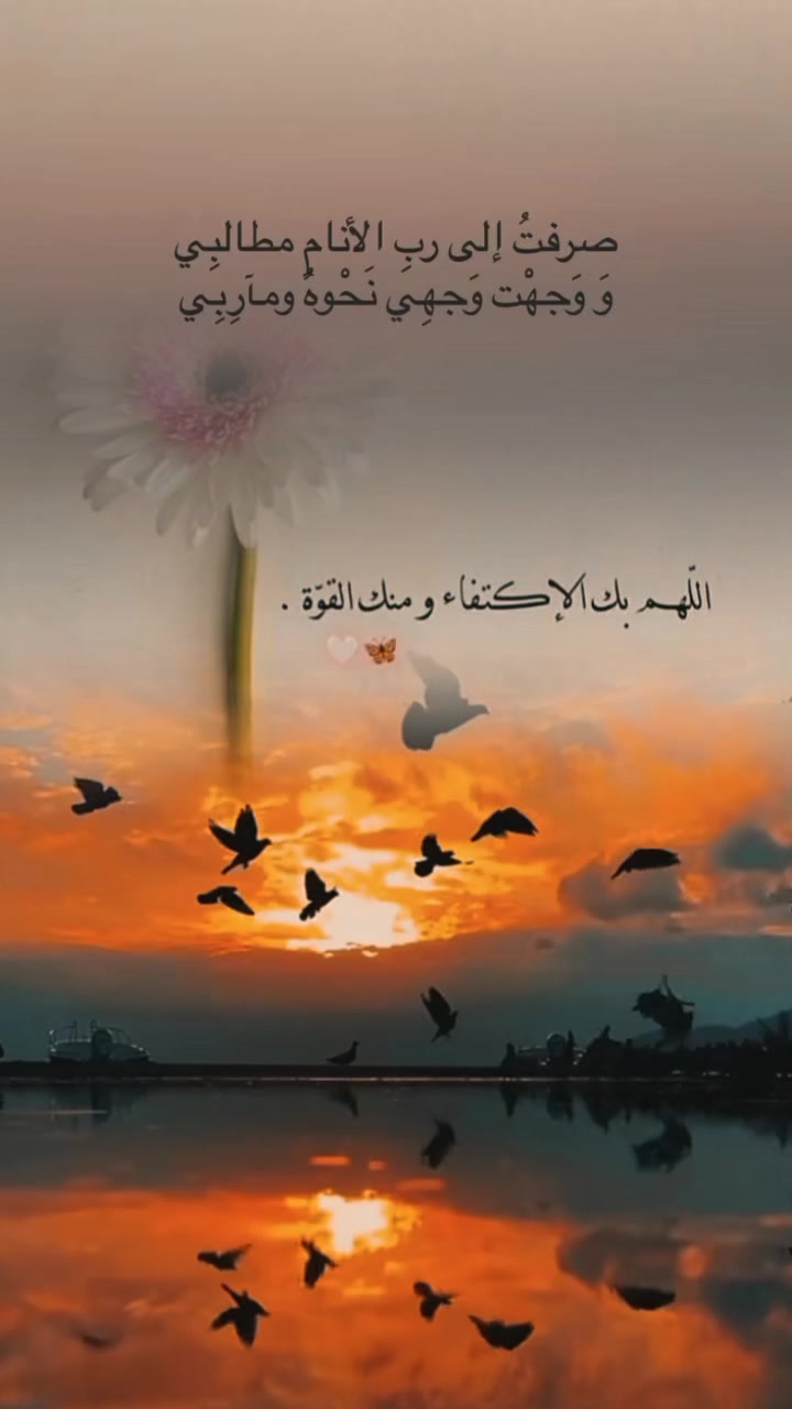 @🦋أثر الفراشة🦋masa