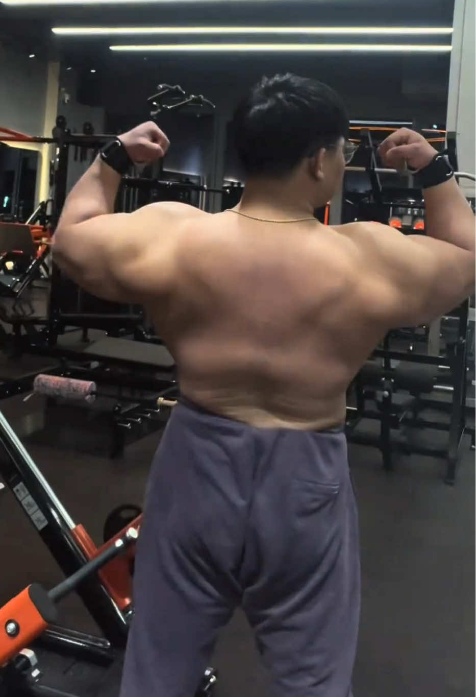 @Muscle Hardcore