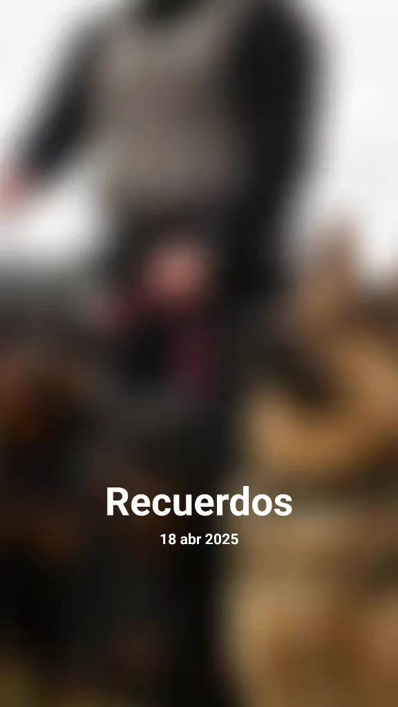 @CacomixtleT