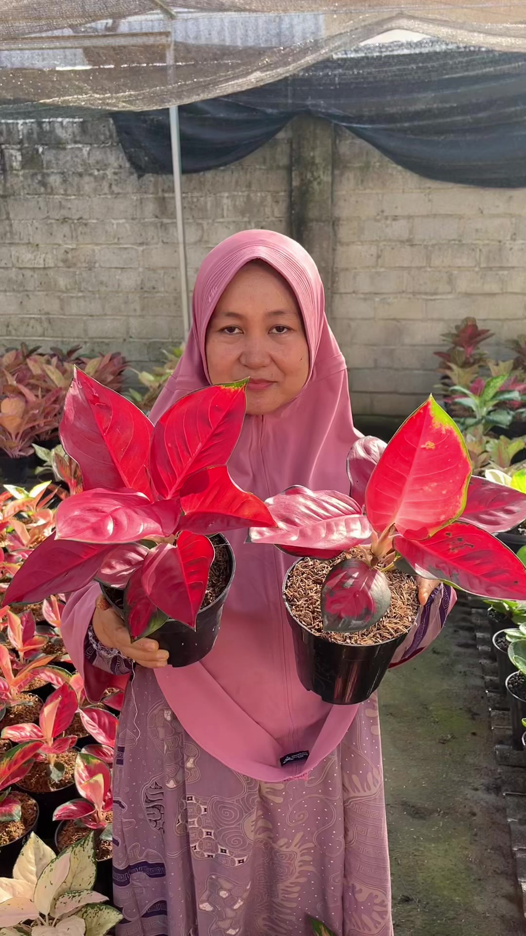 @Amila Flowers