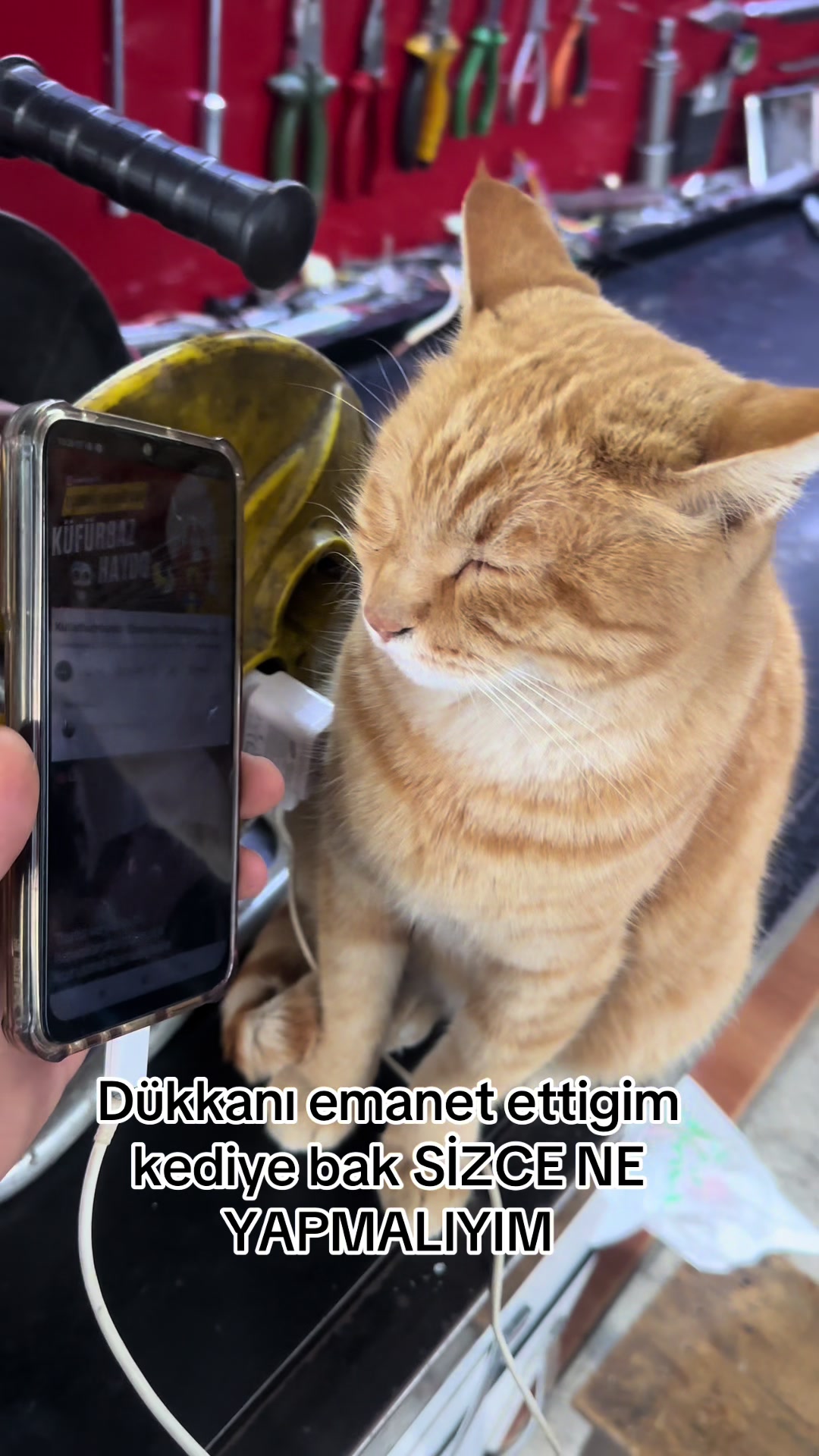 @Class fatih