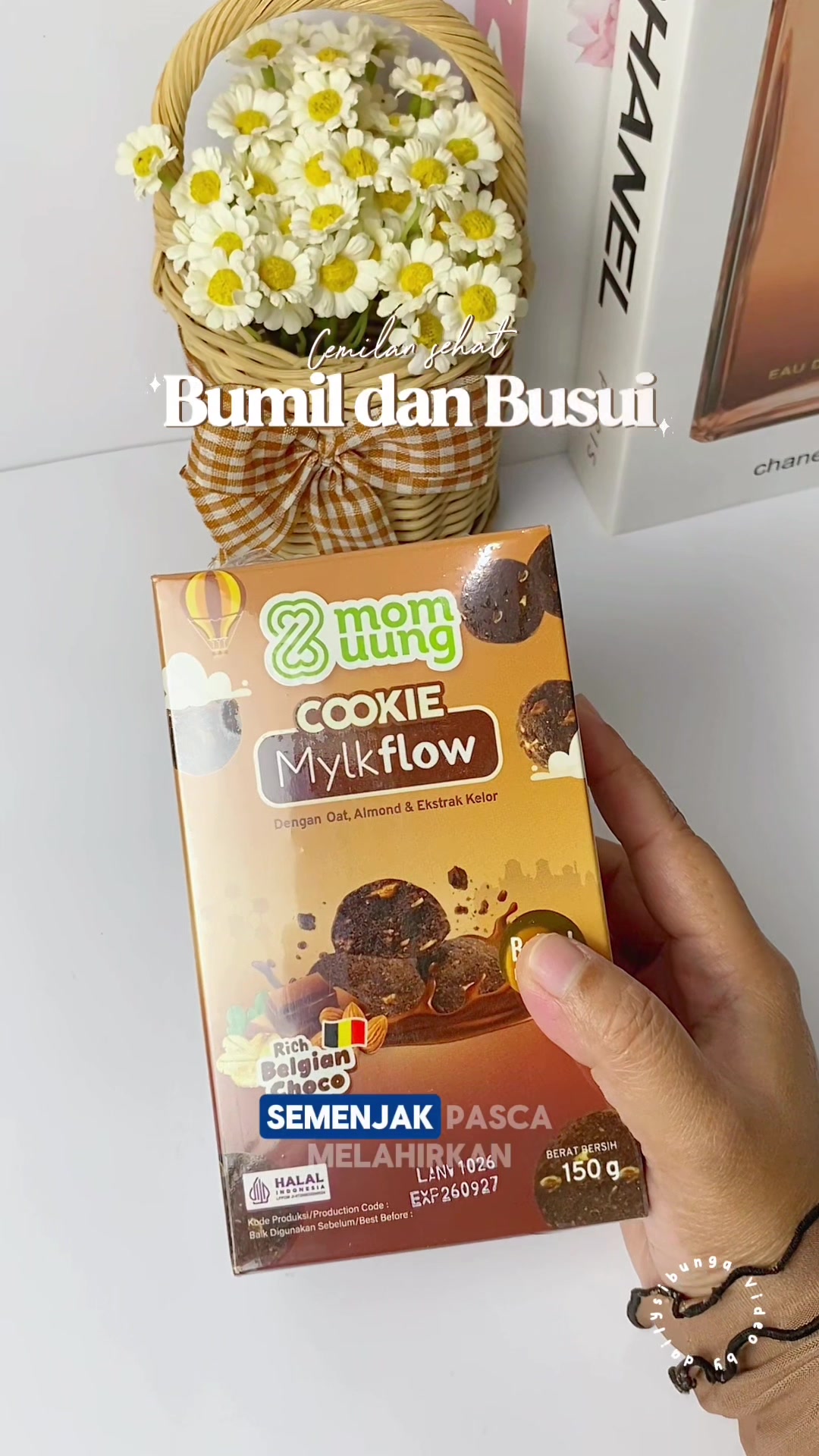 @Dailysibunga