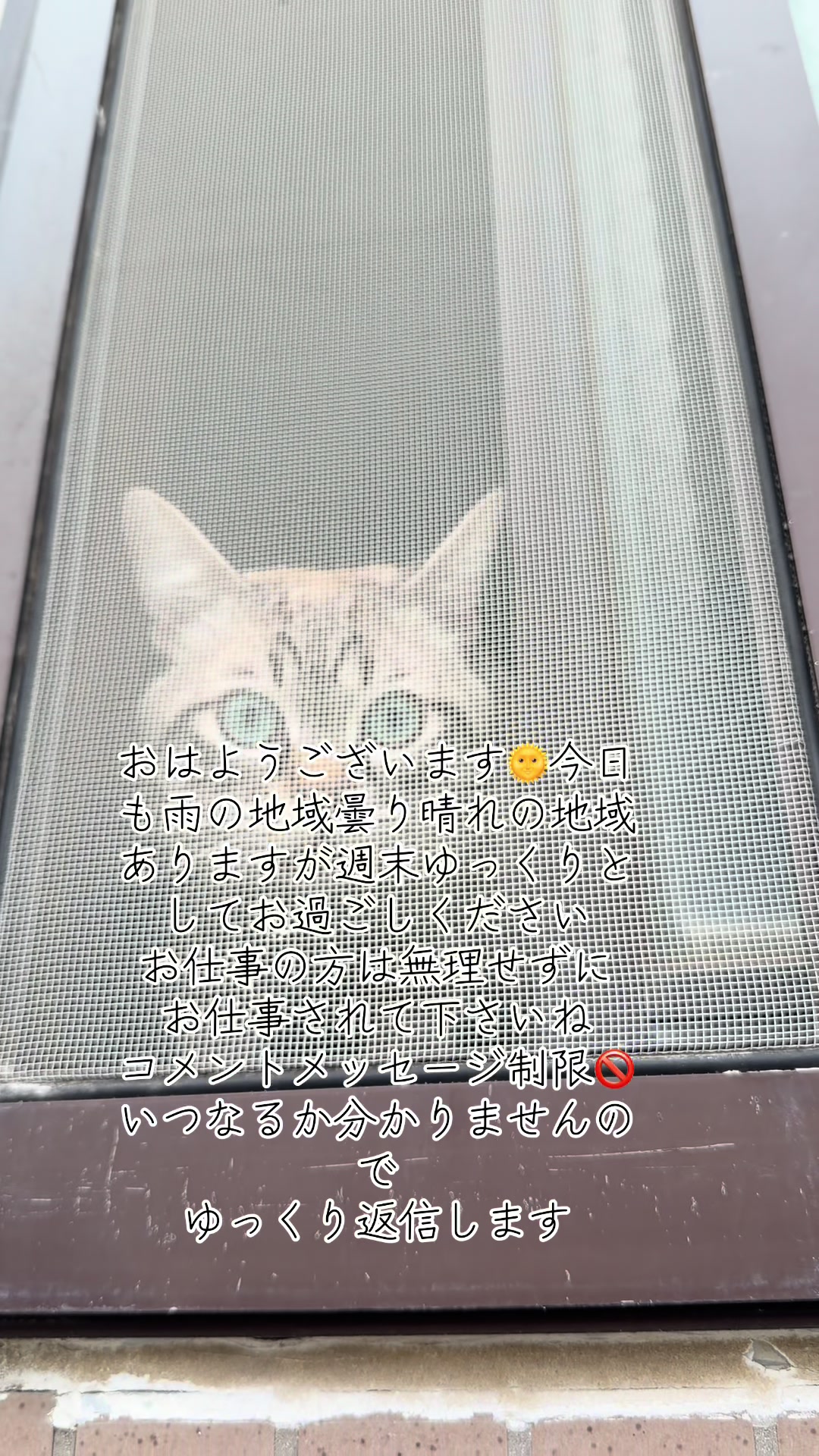 @ð¥é»æŸ€æ£å¿ð¥