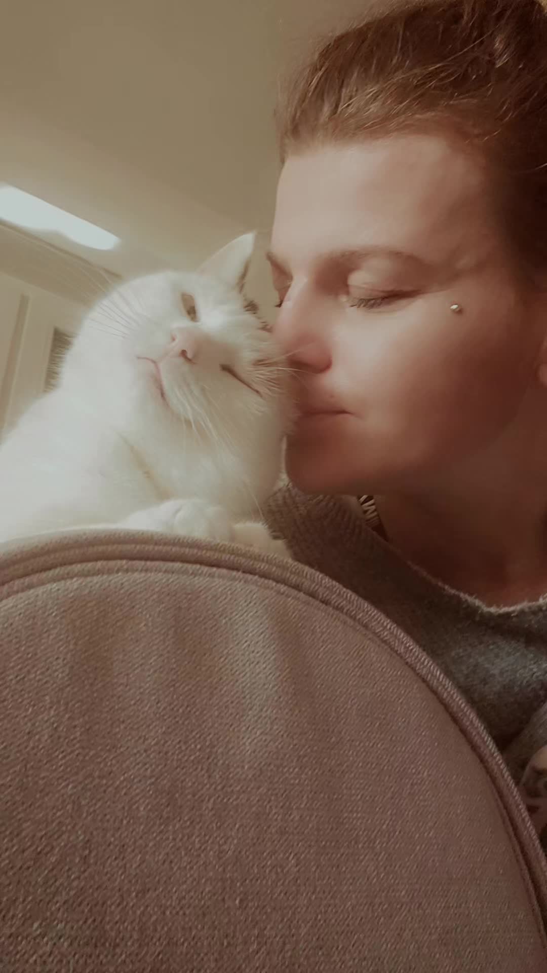 @Tabbiツ