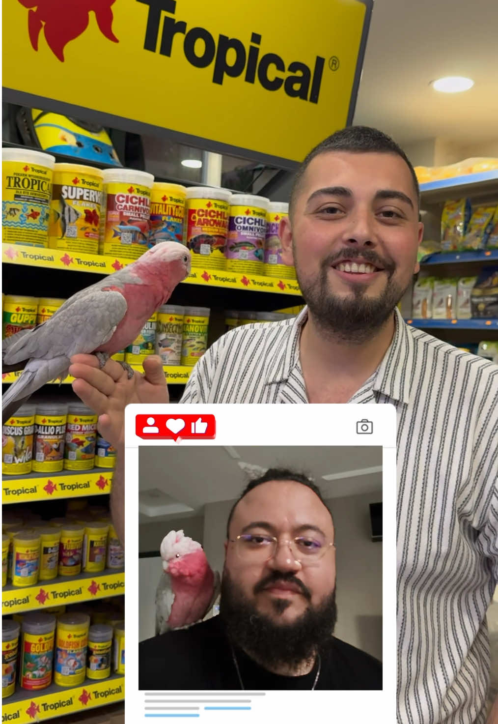 @KANMAZ PETSHOP