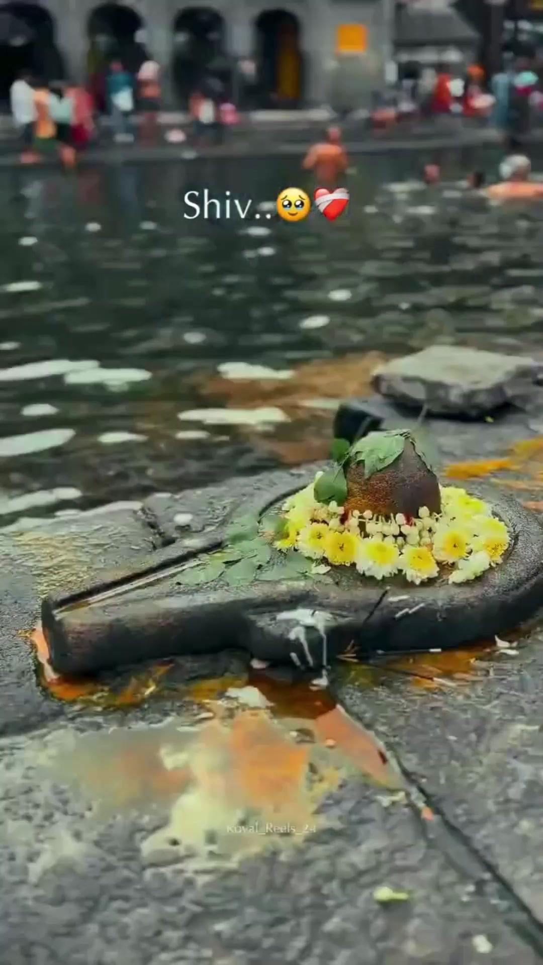 @➳🧡शिवभक्त 🚩🥀꧂