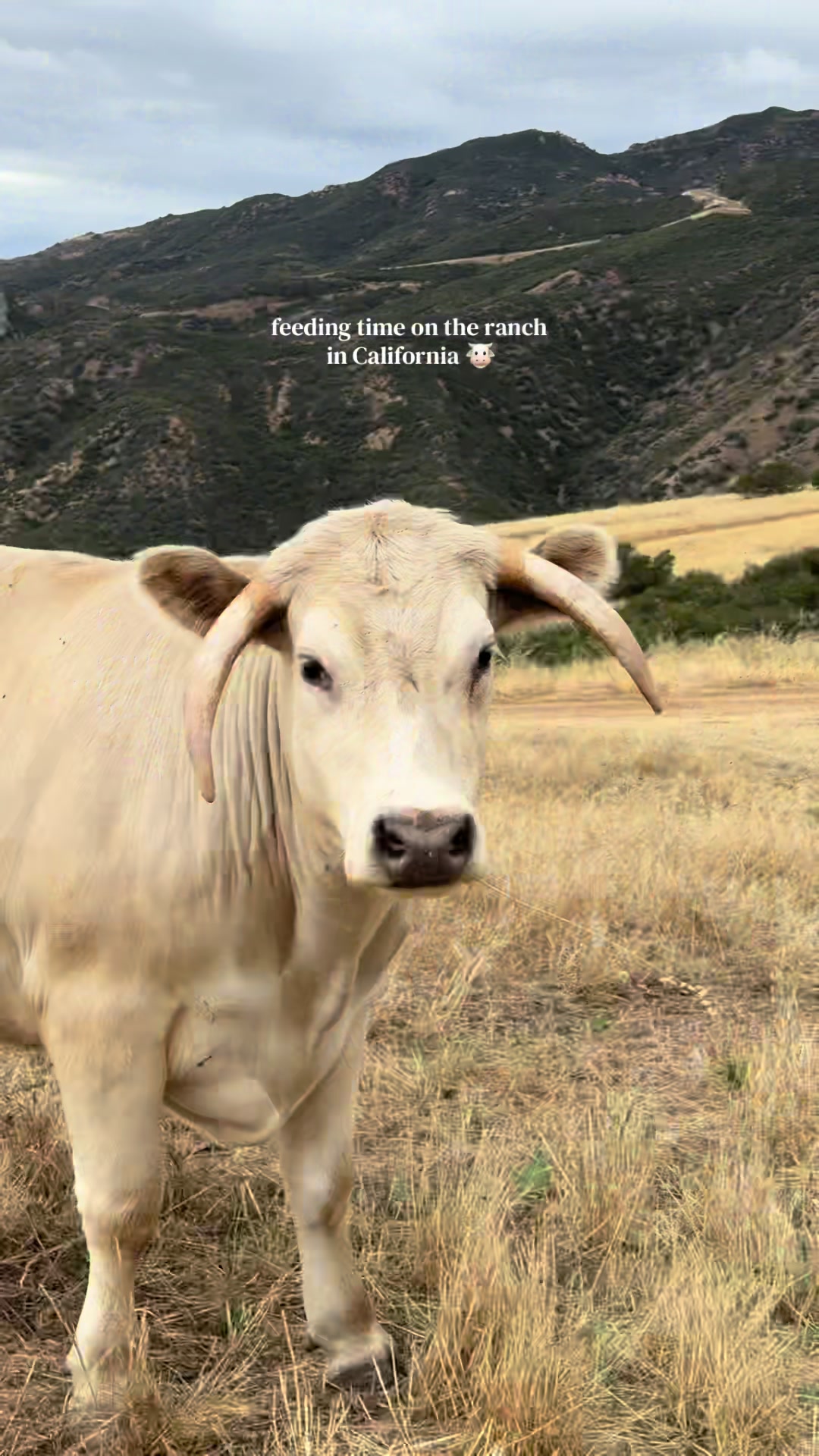 @myranchdiary