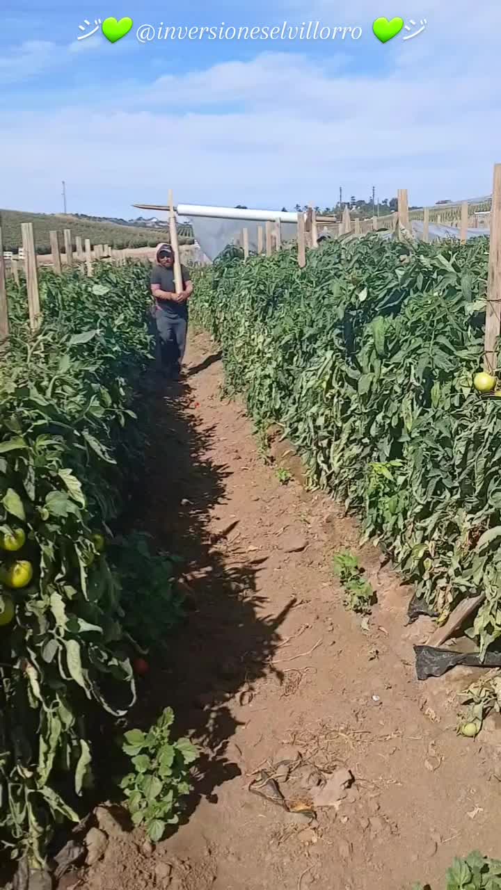 @inversioneselvillorro