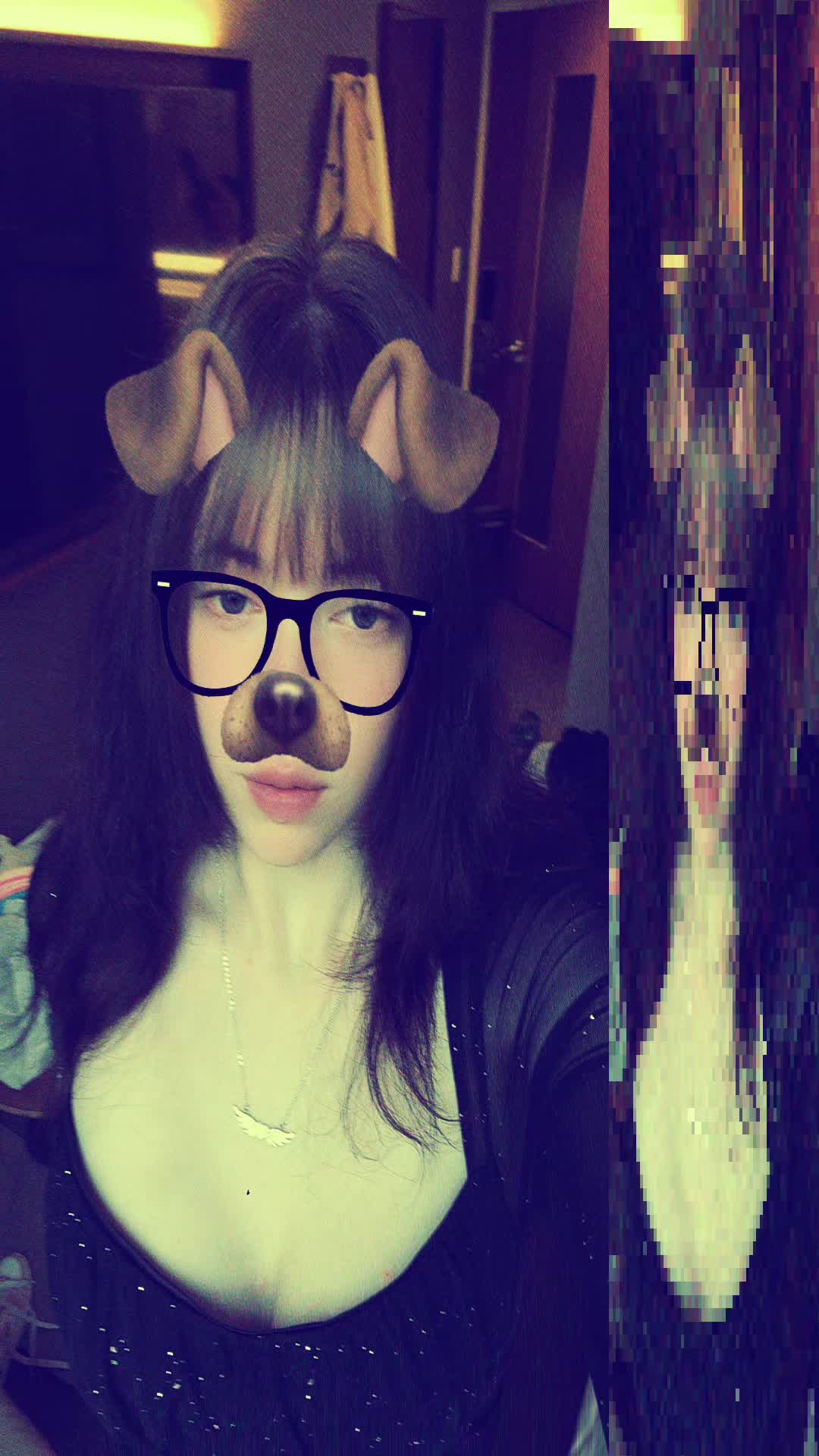 @˖&deg;SmittenKitten⋆˚