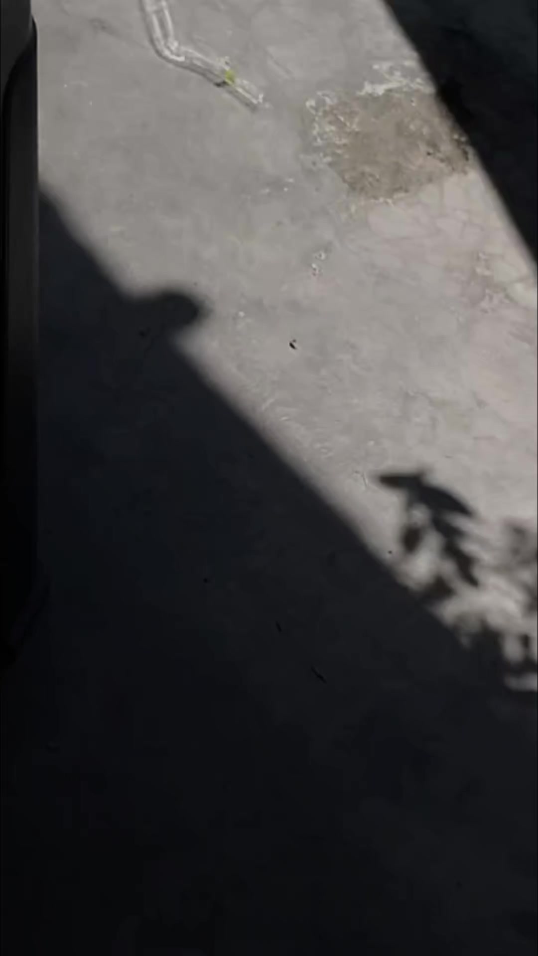 @𝓈𝑜𝒻𝓎𝒶𝓃𝒶