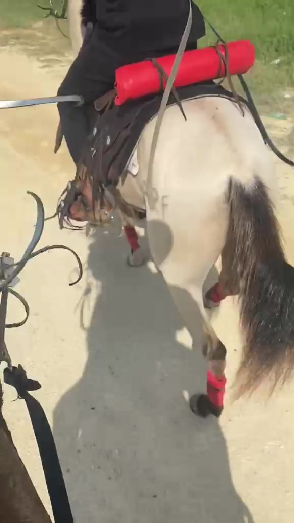 @El tal caballista ese 🤠