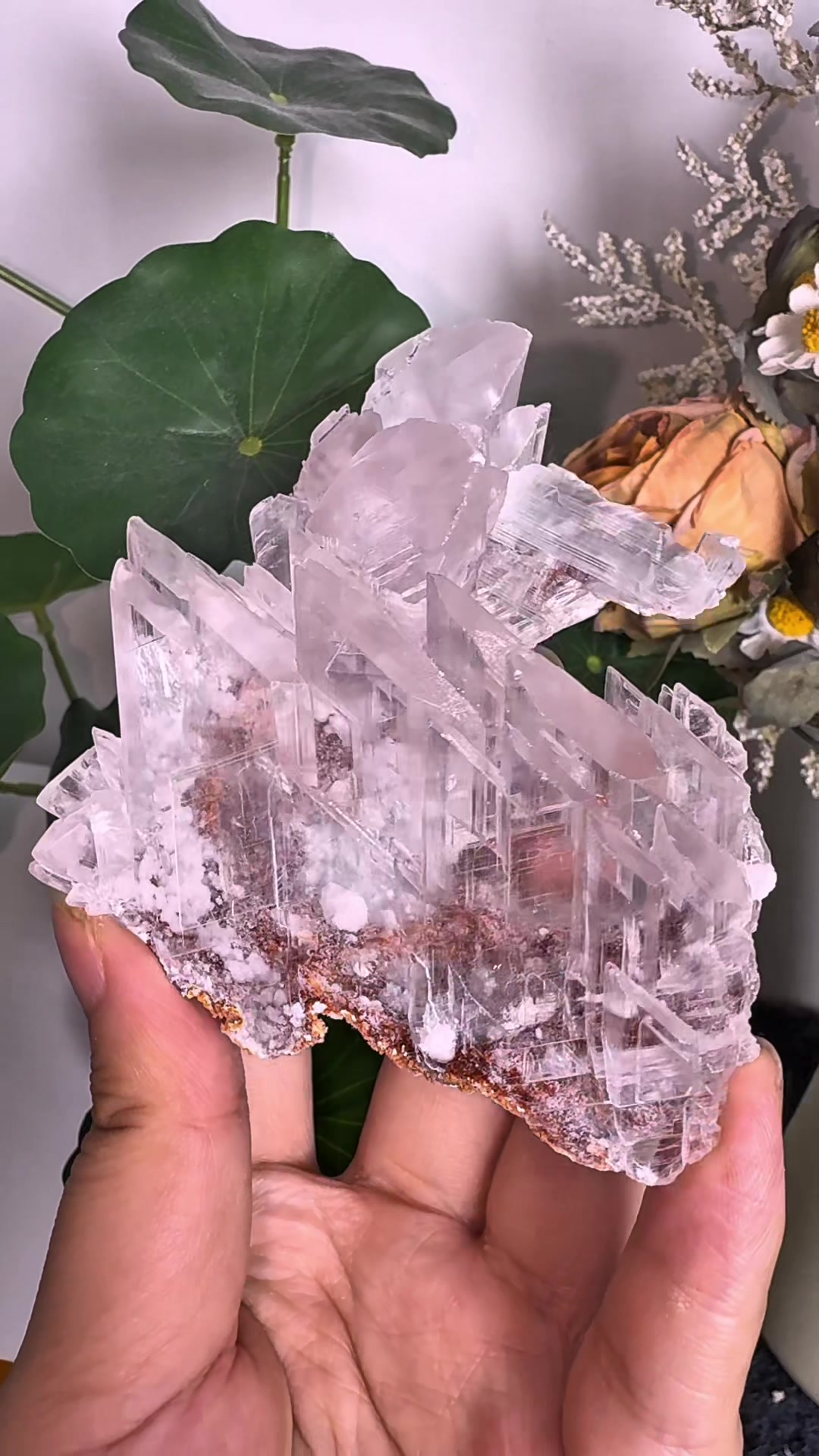 @Cherished Minerals