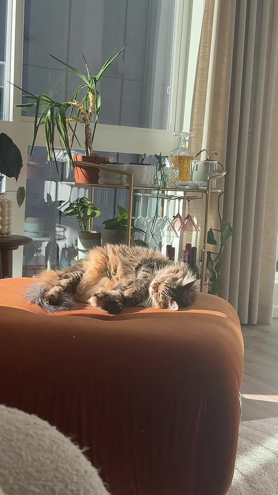 @CatLadySadie