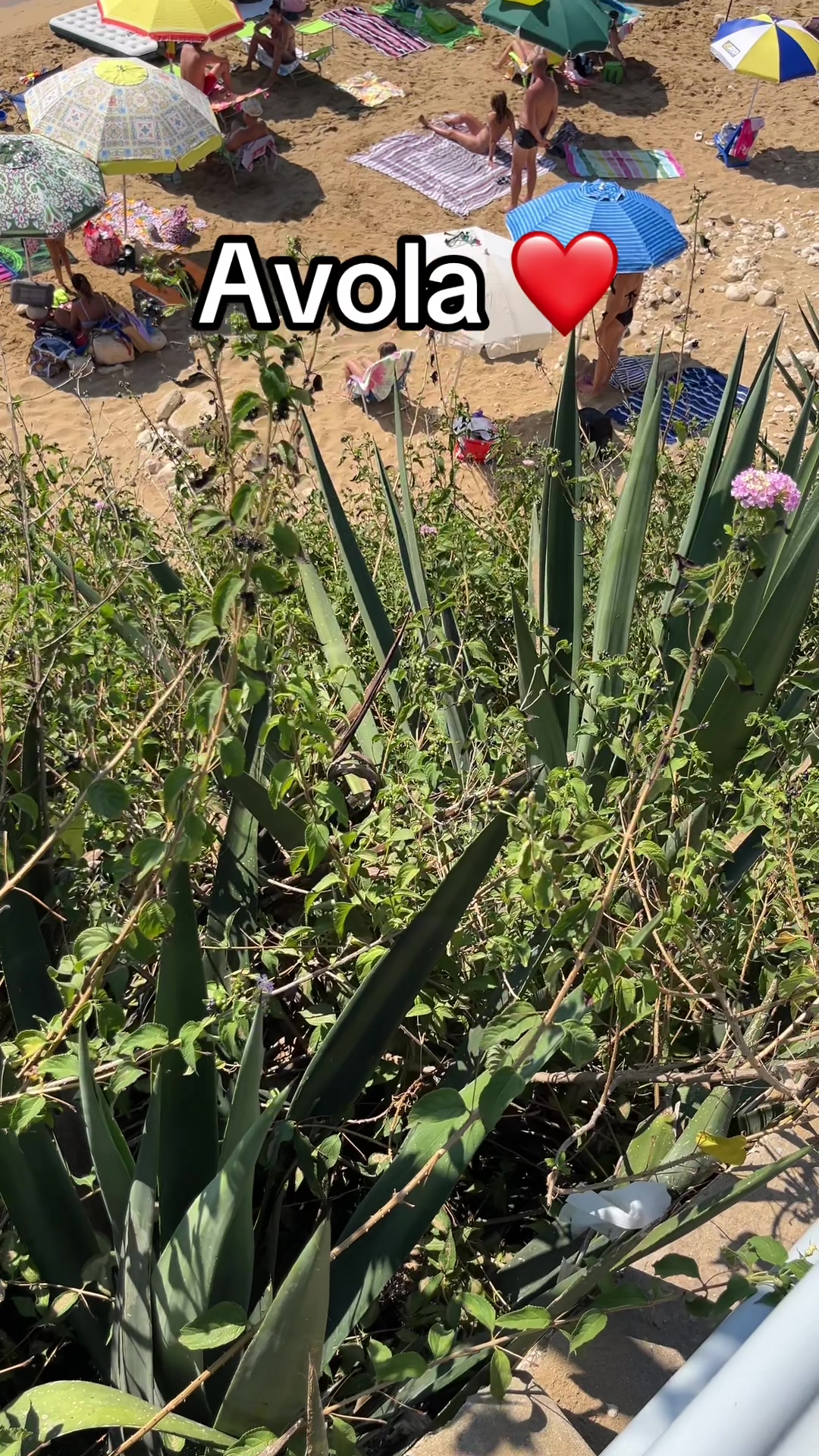 @Marco 80