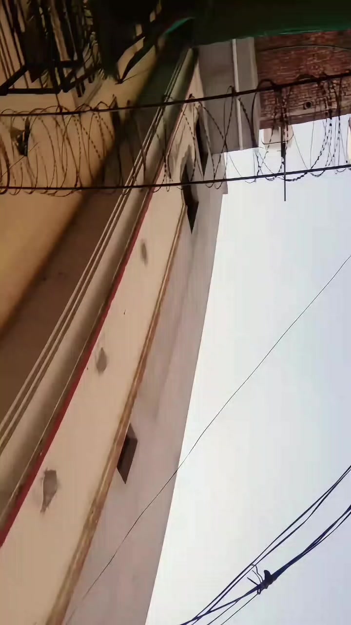 @zidiboy🖤