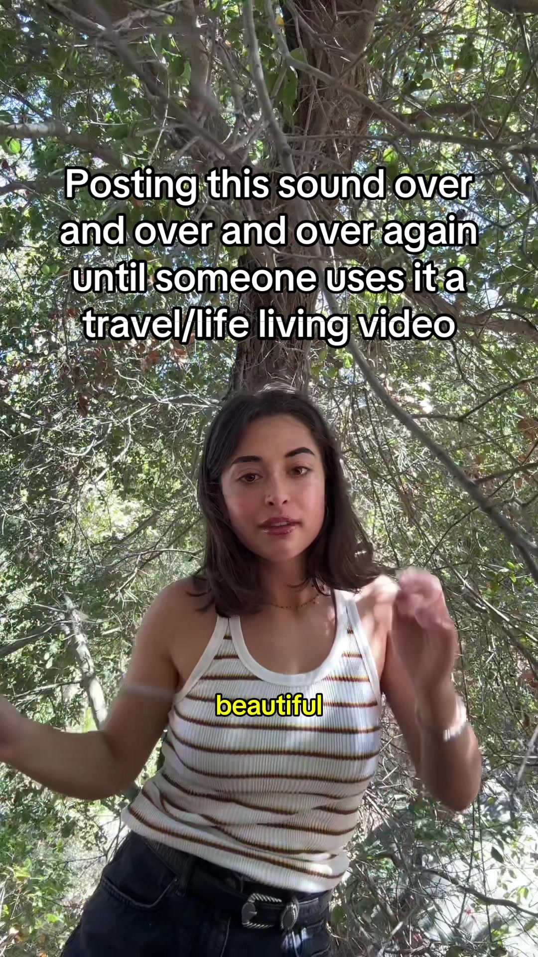 @Maya Sarkissian