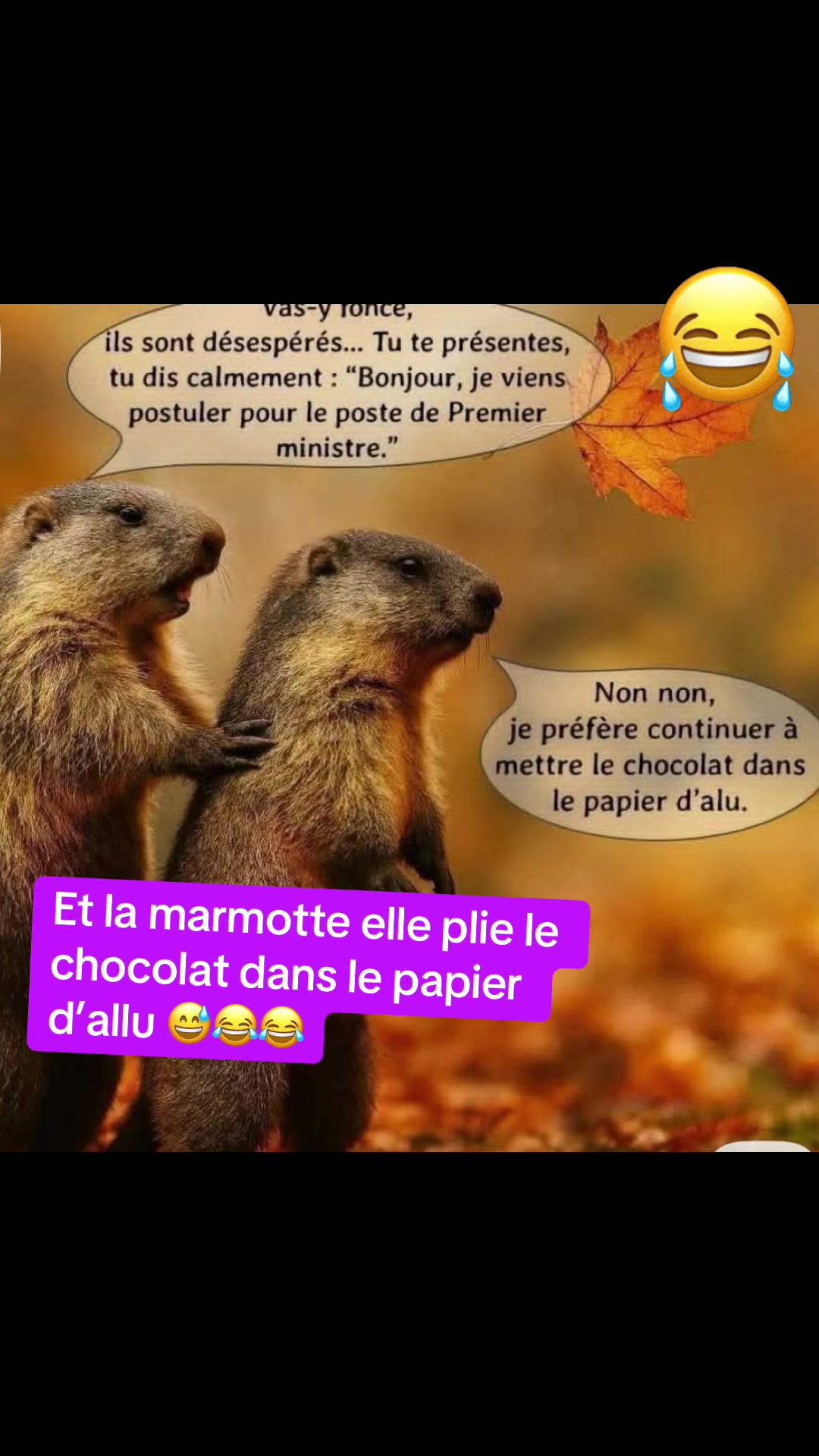 @Dr&ocirc;le de b&ecirc;te 😜