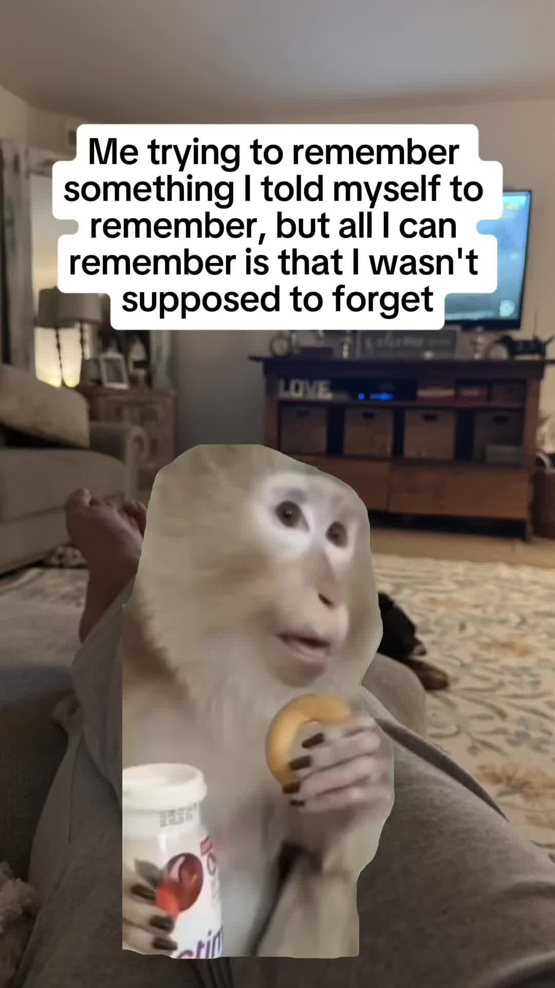 @Sharae ♾️