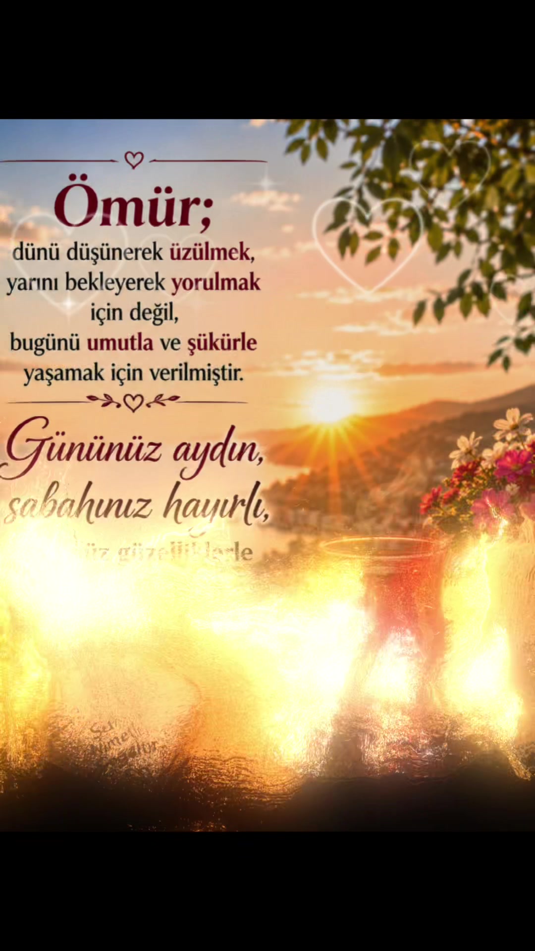 @Bekir Yilmaz