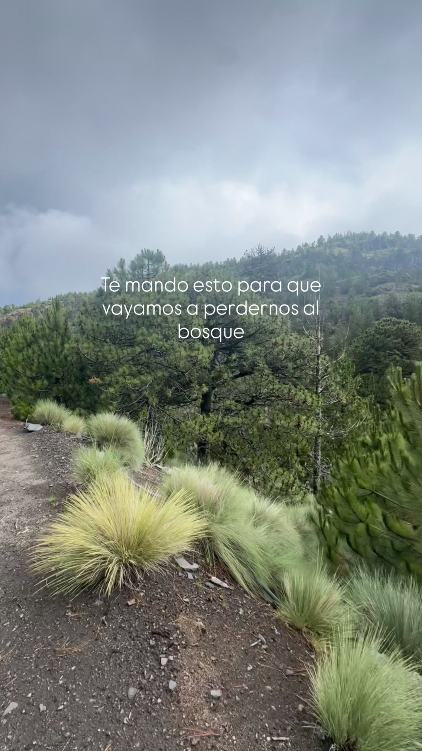 @The Nevado Experience