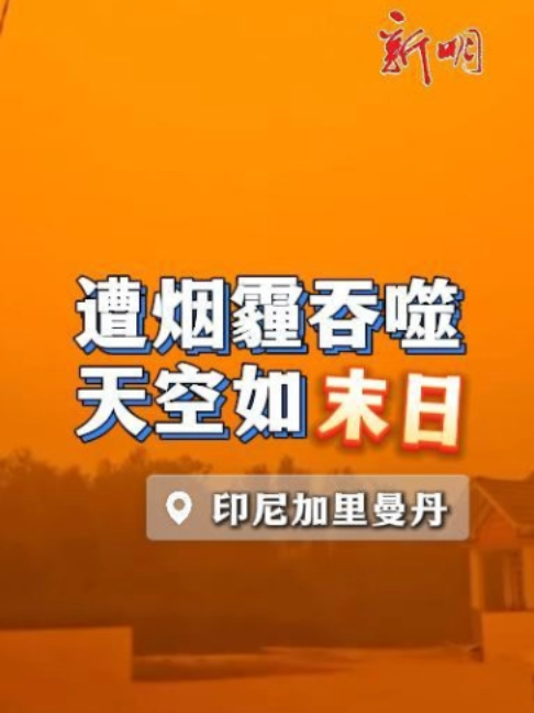 @新明日报