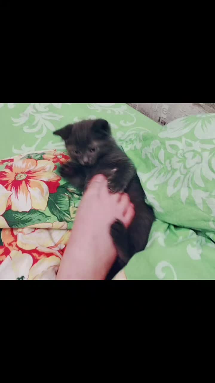 @Крем Чиз