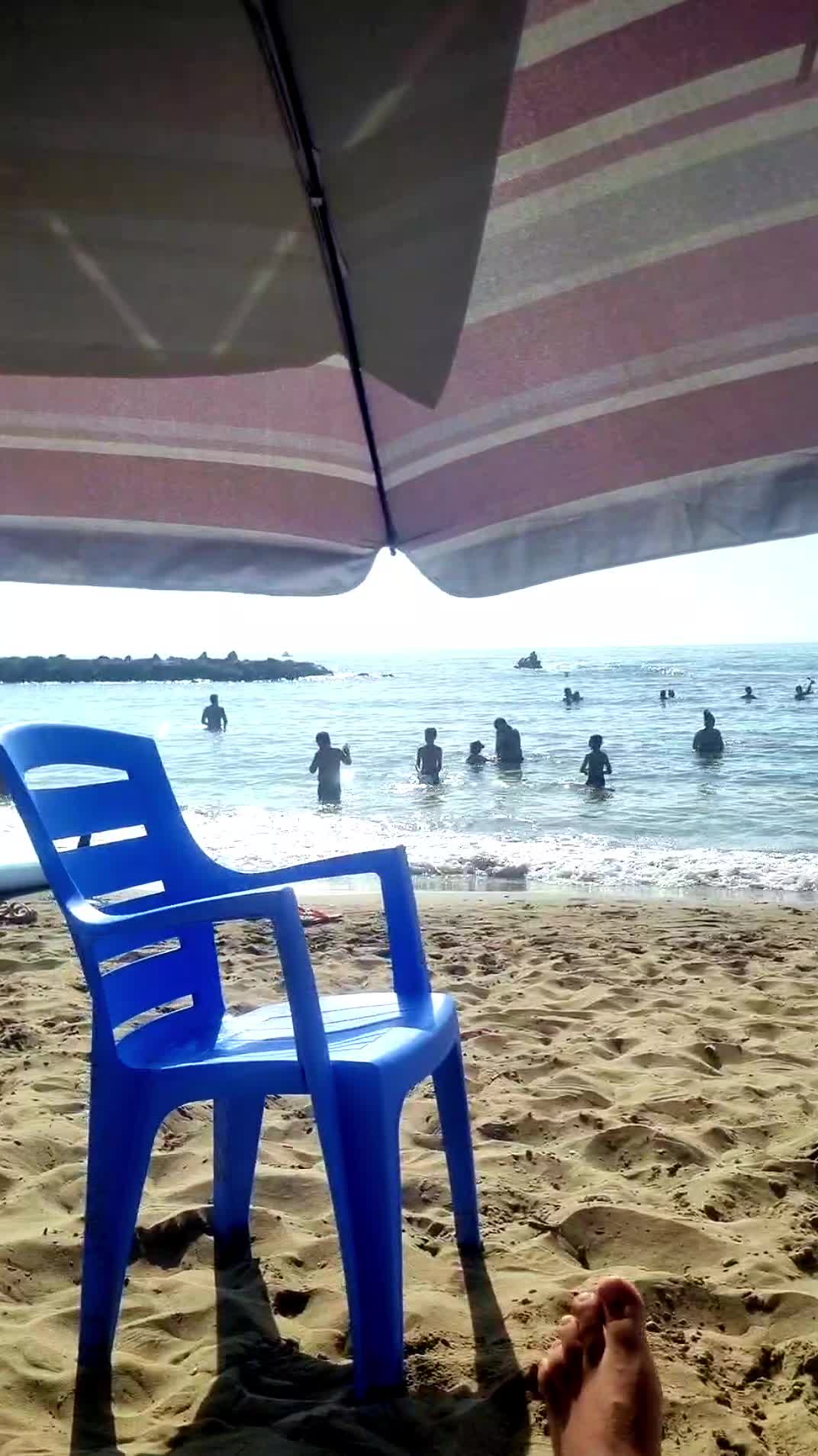 @Algérinotls 🇩🇿🇨🇵