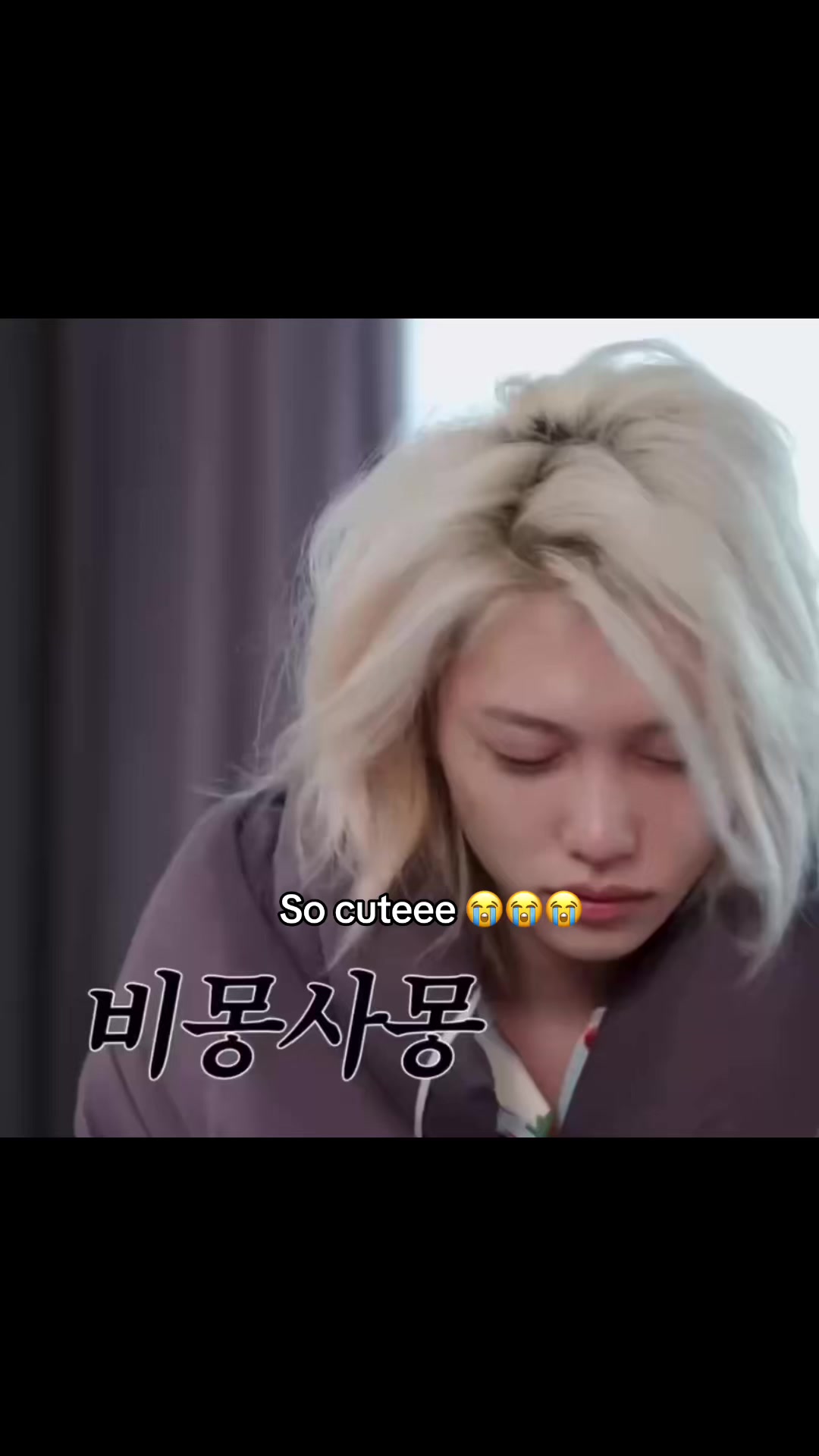 @🤍strayfelixfan_account25🤍
