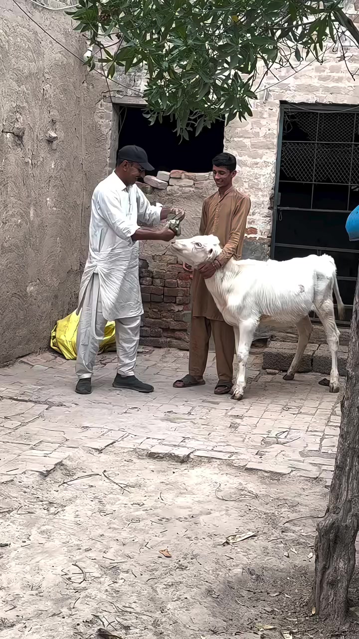 @Aziz khan
