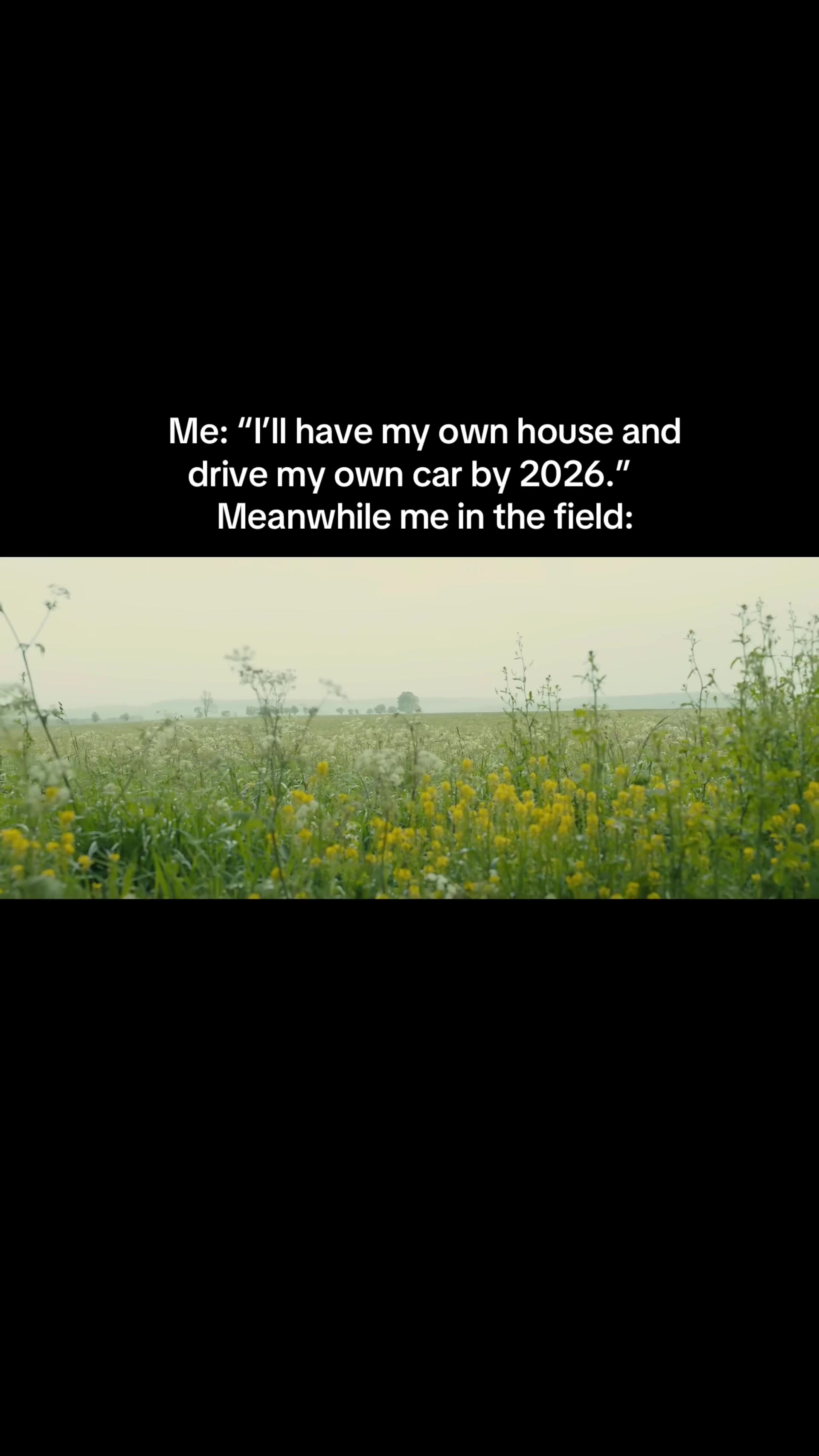 @thebootswiththebrain