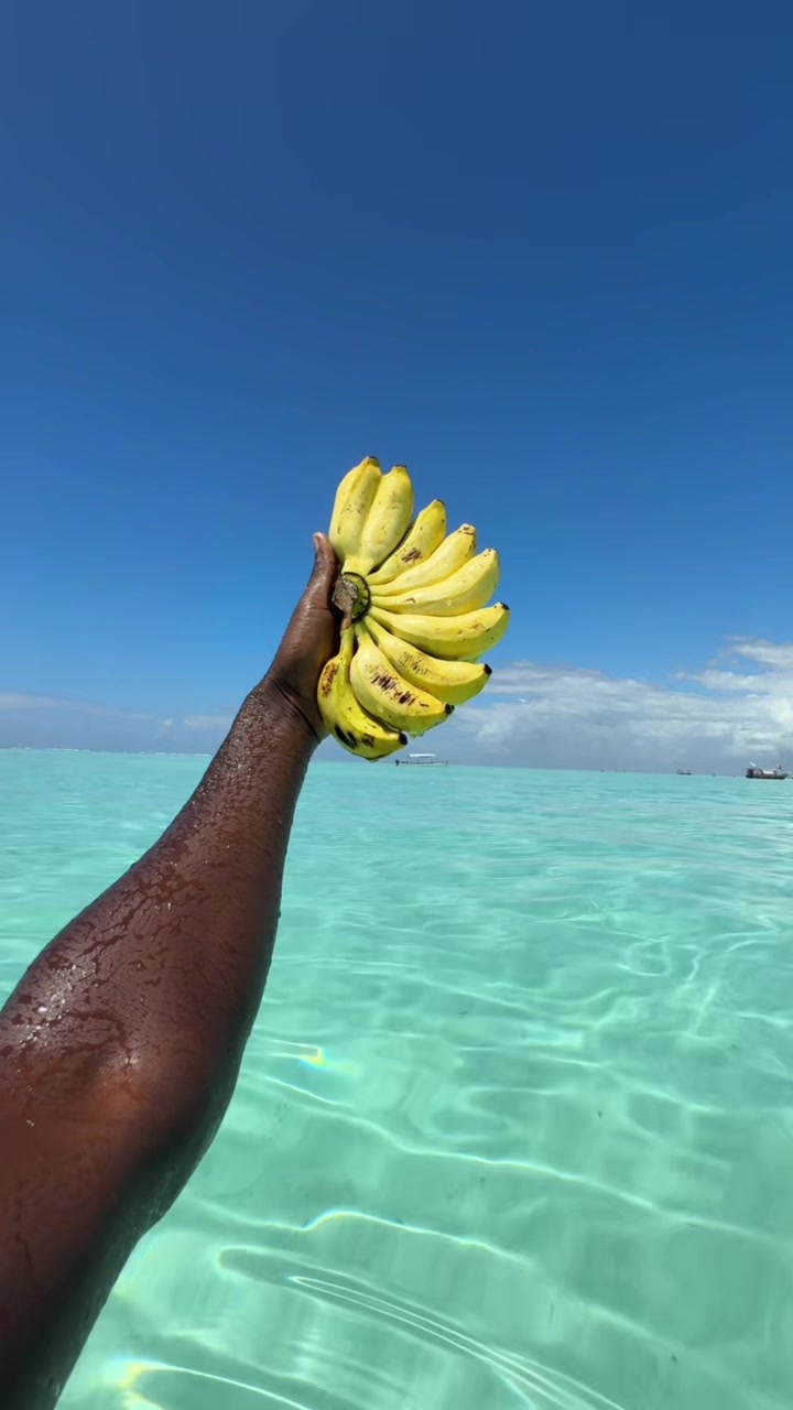 @letsgotozanzibar