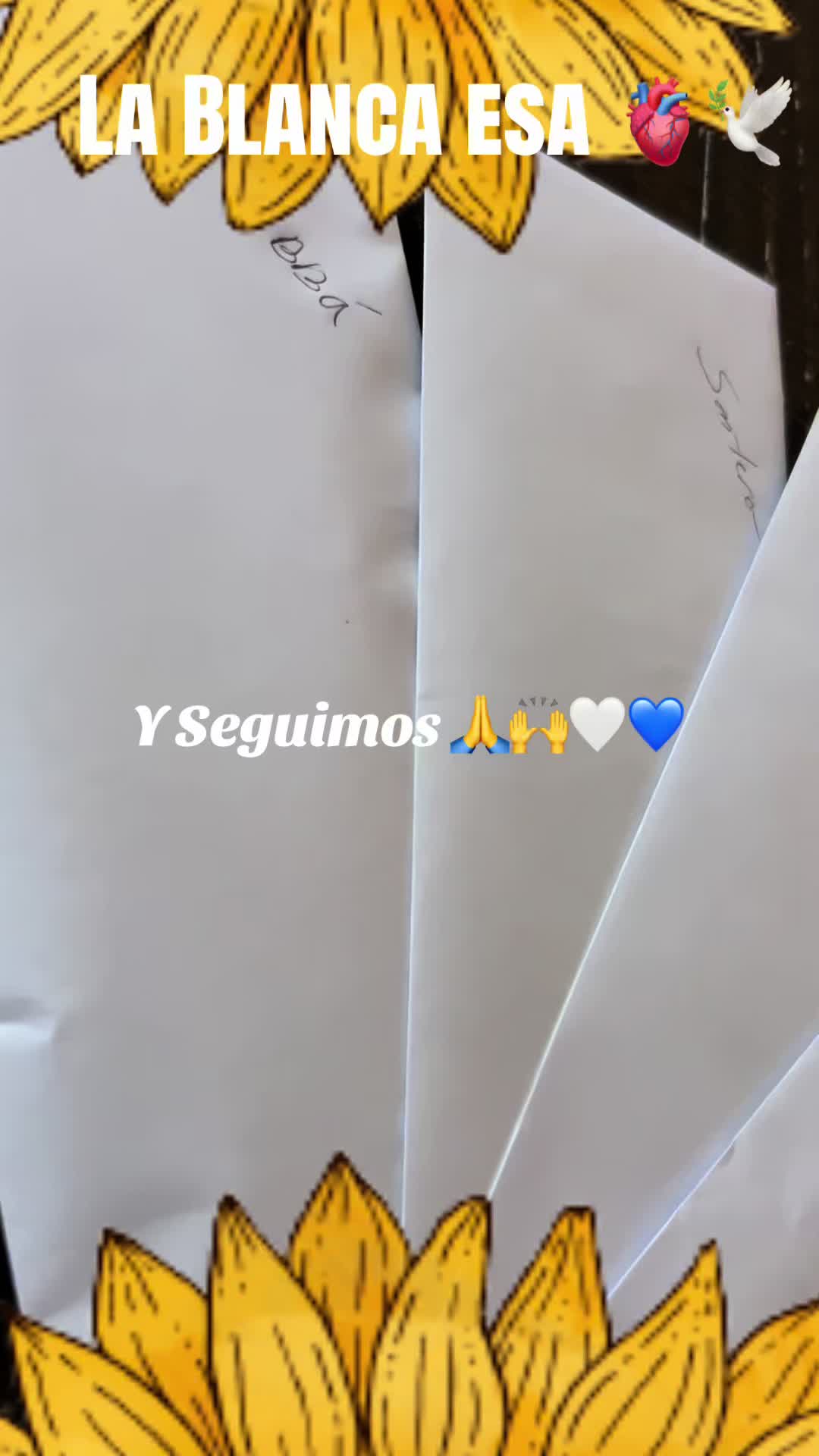 @Lacasadeeggun🤍🖤