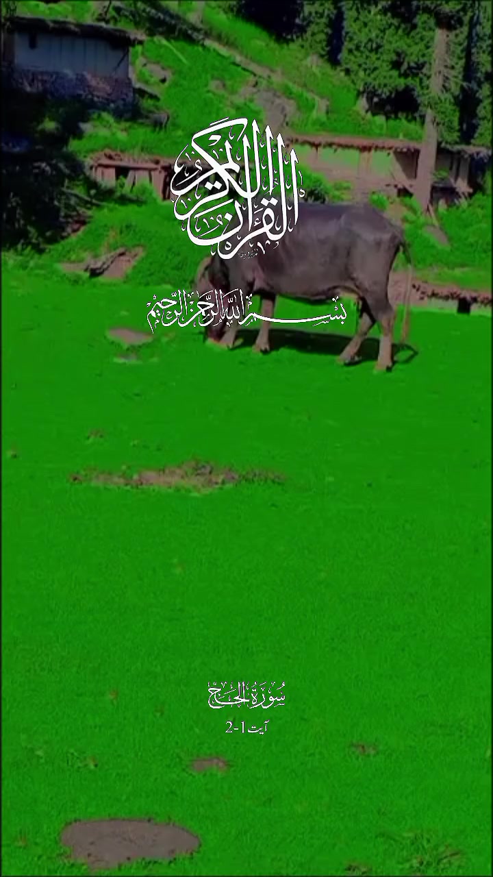 @🕊️Manawar shah🕊️