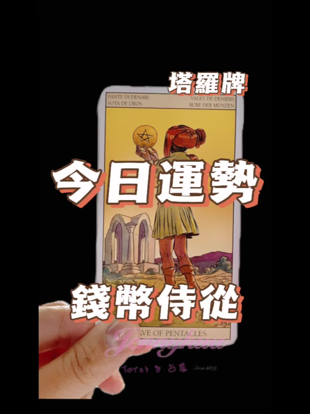 @꧁珍妮花的神秘花園꧂