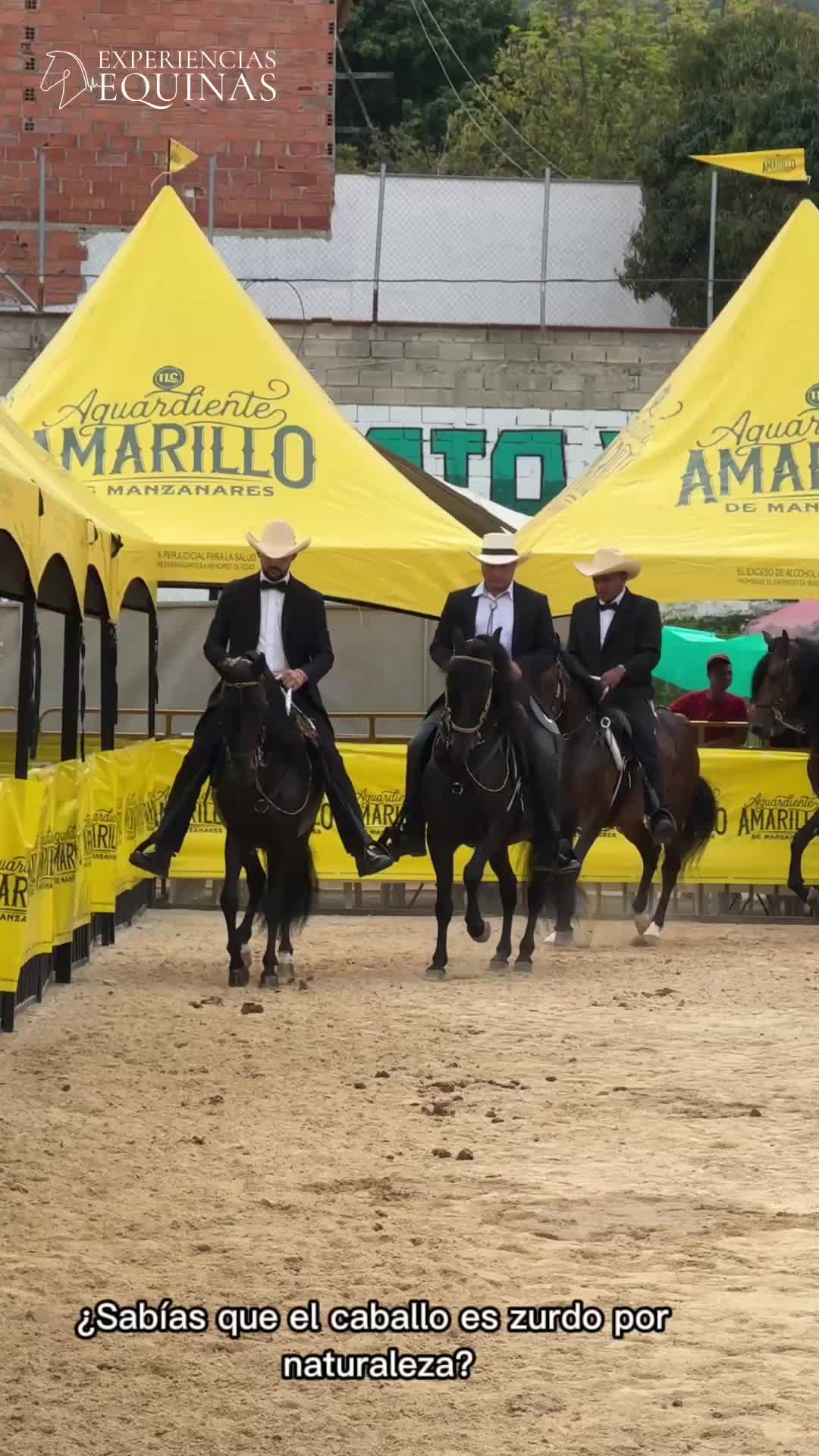 @Experiencias Equinas