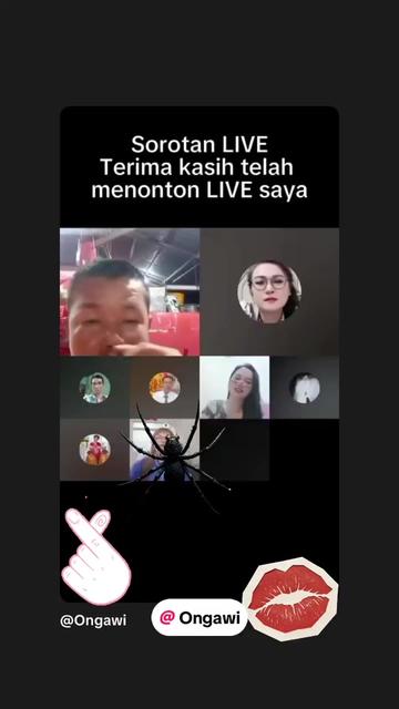 @🤡🤡美珠💔yuli