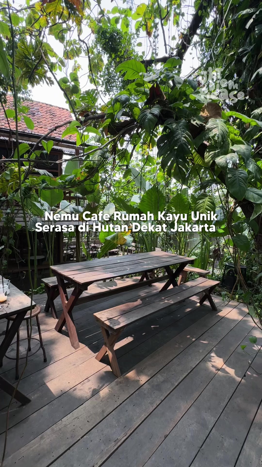 @JKT Diem Please