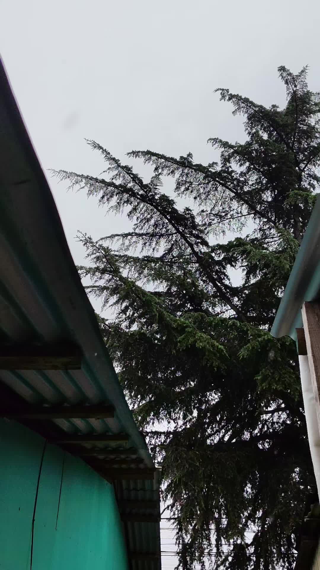 @Sebastiàn Puga