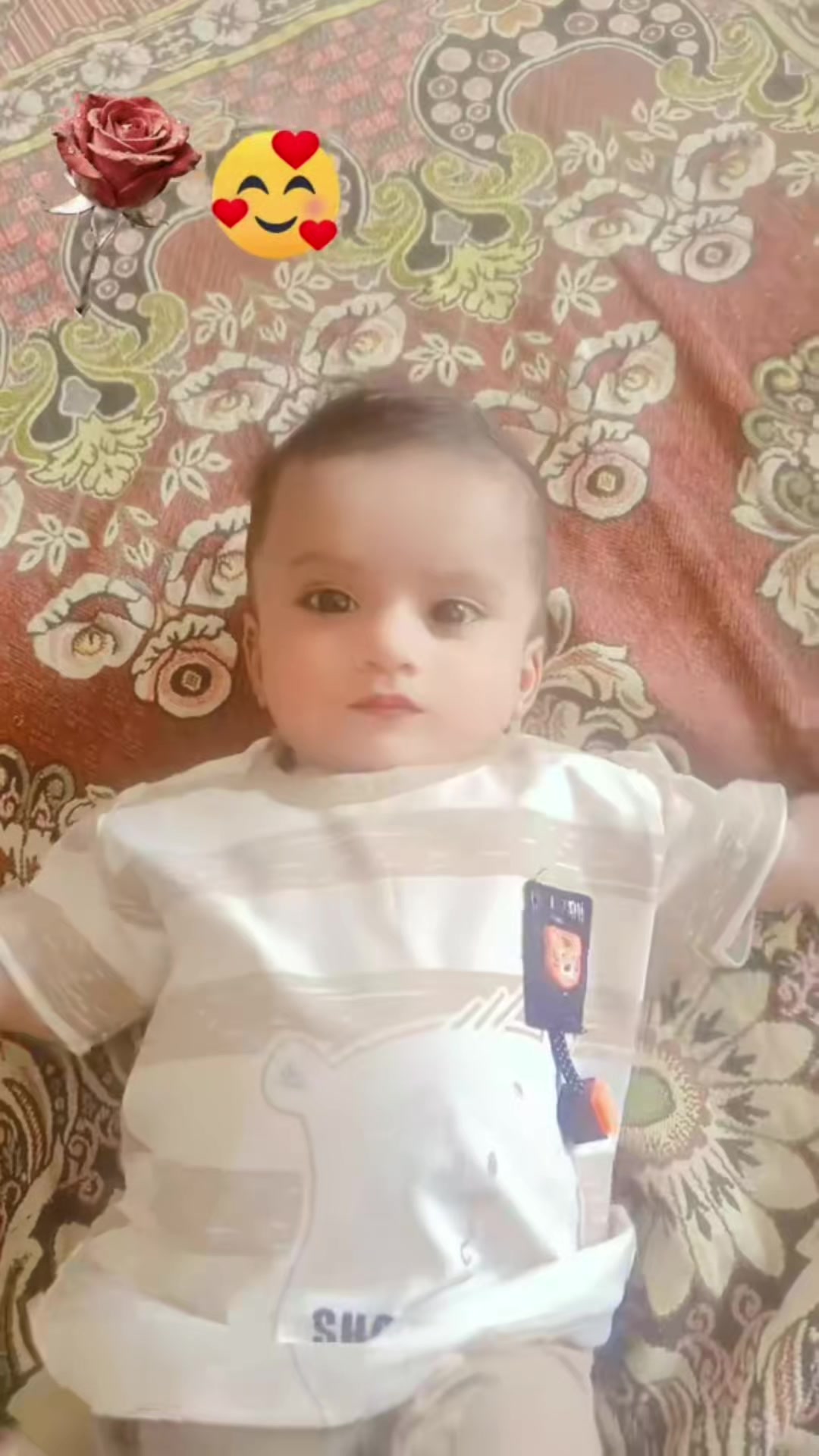 @Noman_Rajput 🦋