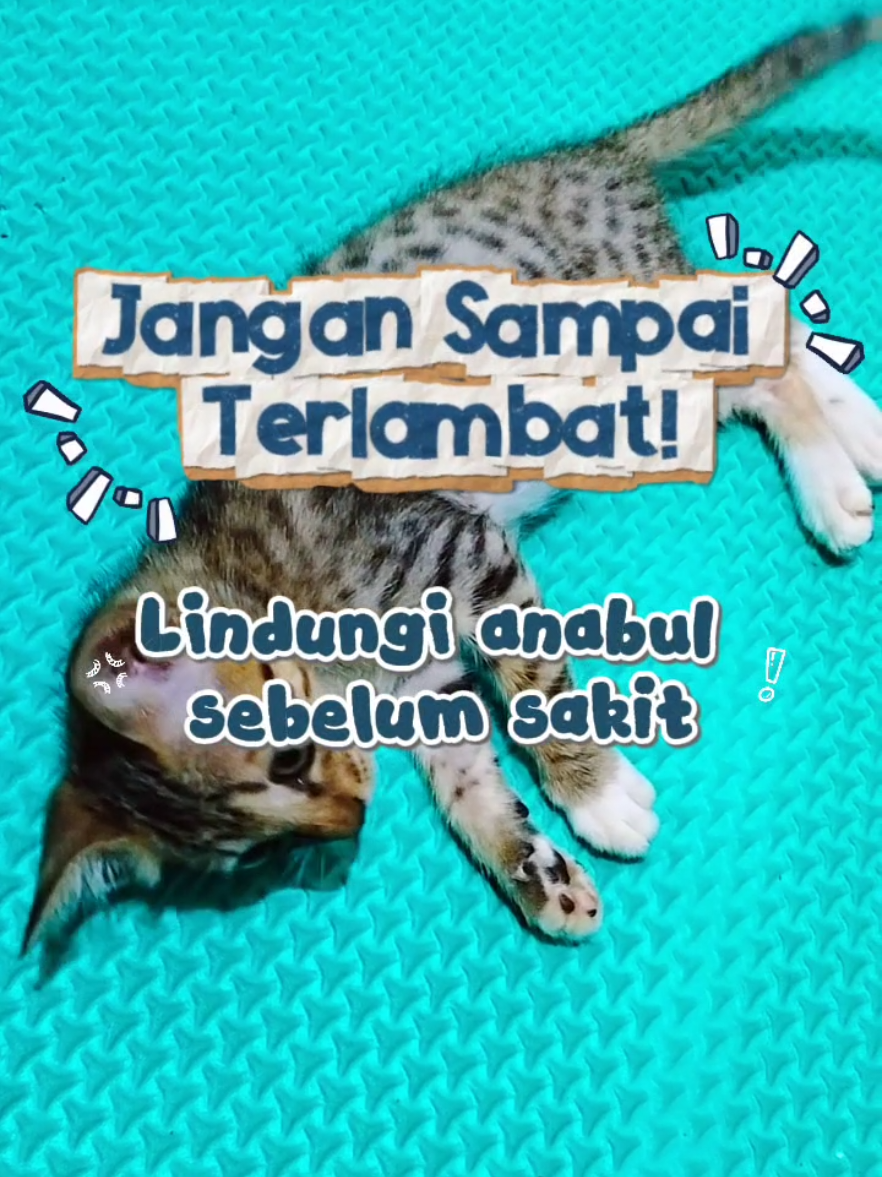 @Bollu