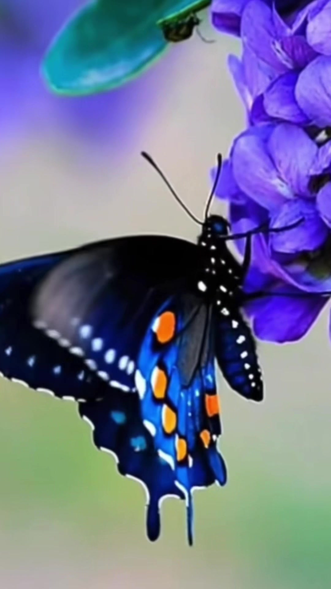 @migne_00