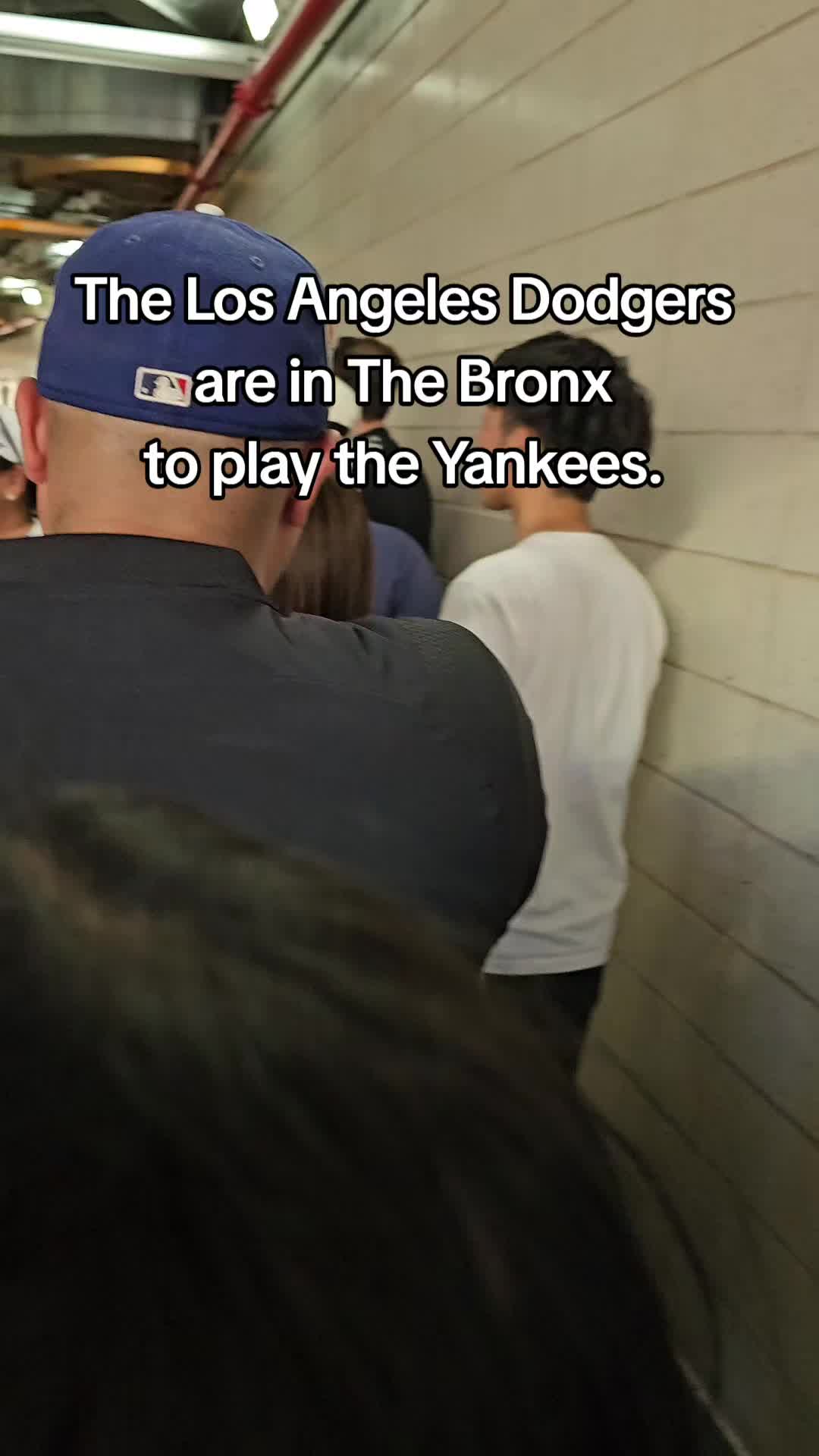@Dave From The Bronx 🗽