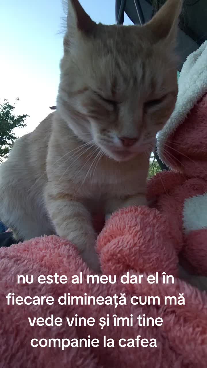 @Anca Ancuta