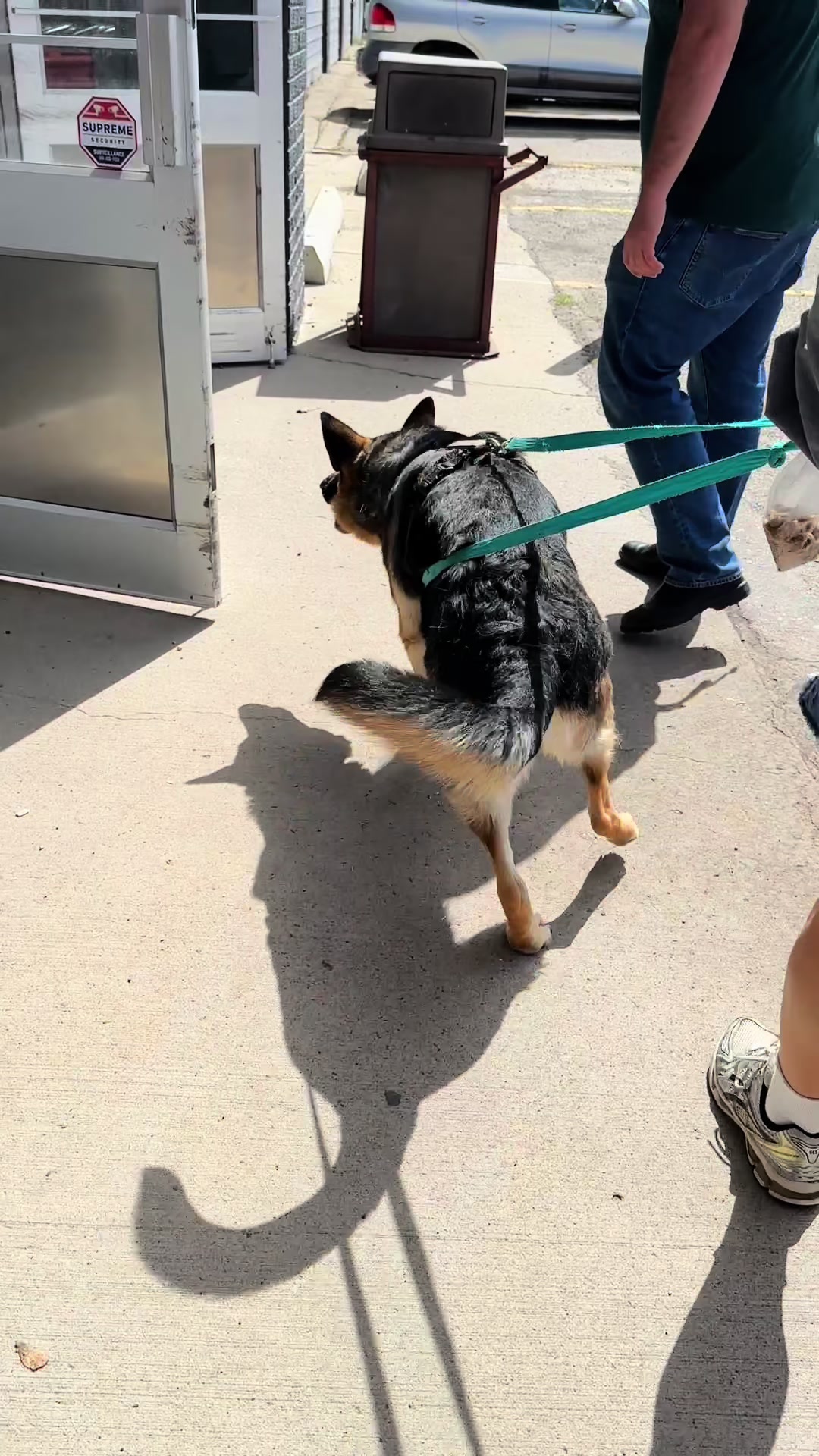 @Calgary Humane Society