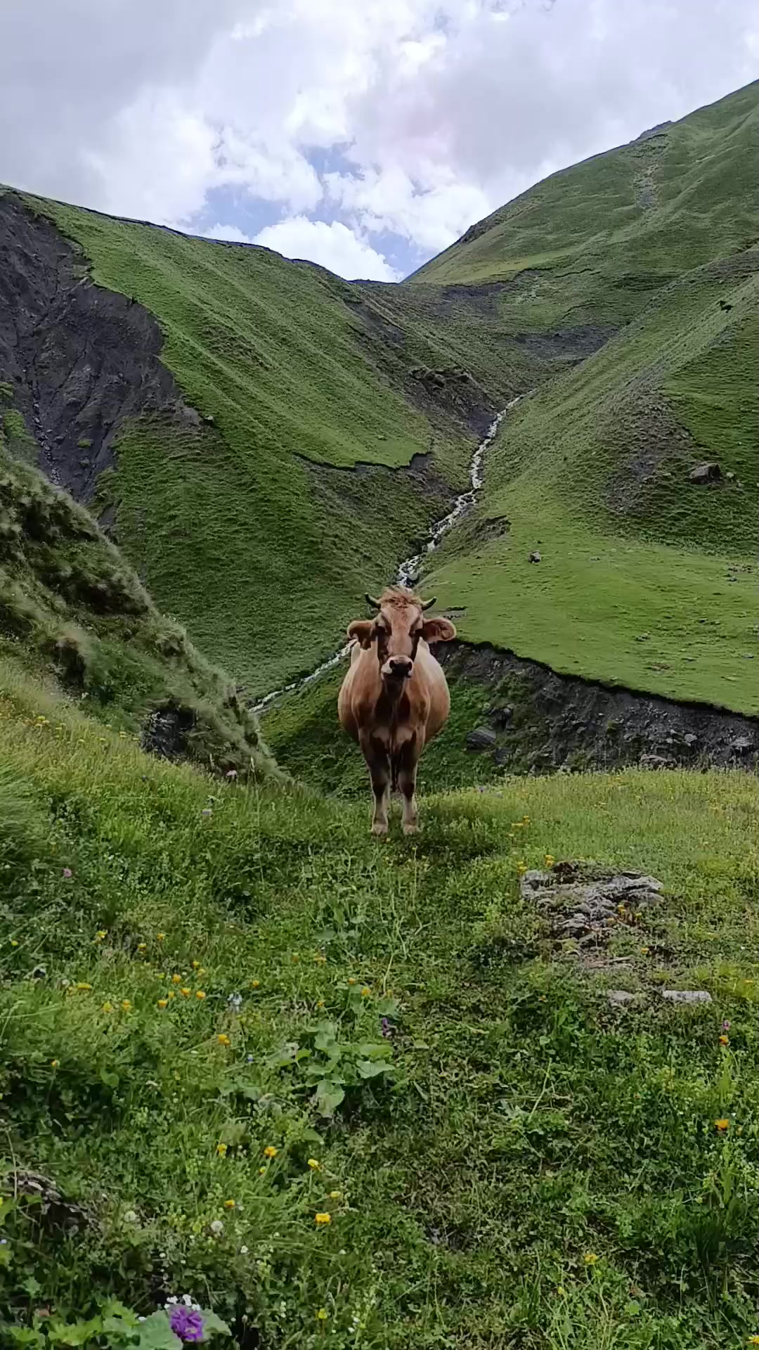 @Алексей