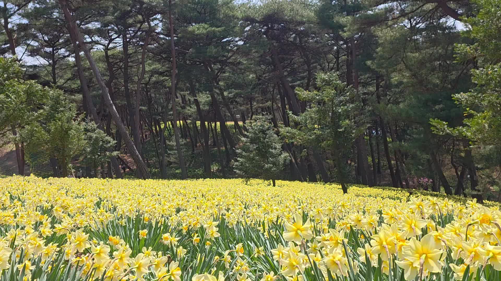 @차박남